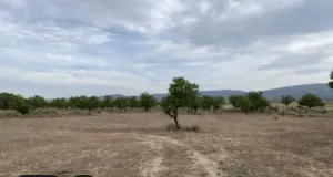 Terreno 3,5Ha en Sonseca (Toledo)
