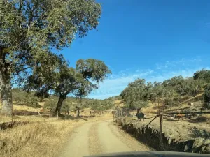 finca ganadera en el término de la nava,