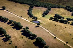 EXCLUSIVA FINCA CINEGÉTICA DE CAZA MYOR