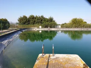 4. Finca premium en plena Costa del Sol
