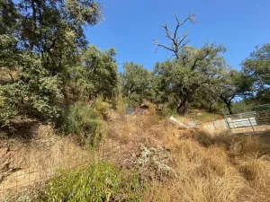 FINCA EN LA NAVA