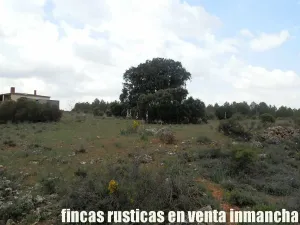 finca en venta 186 has. labor caza menor
