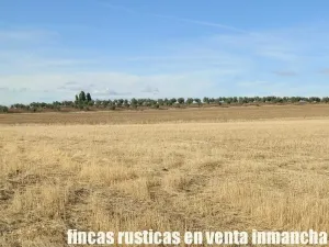 finca en venta 350 has. labor secano olivar