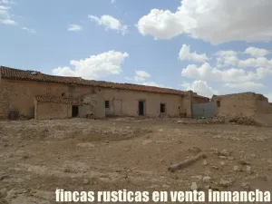 finca en venta 464 has. labor monte Albacete