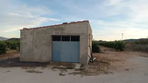 FINCA DE REGADÍO DE LIMONEROS EN MULA
