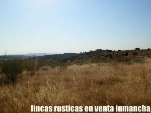 finca venta 326 has labor ganadera en Almagro