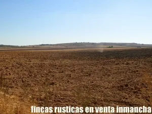 finca en venta 184 has. labor riego Belmonte