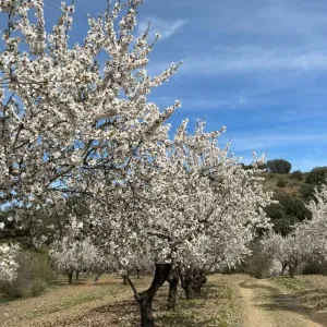 Finca agricola, cinegetica y recreo