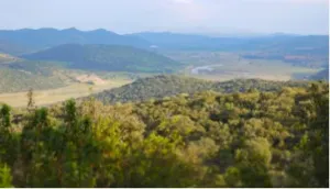 Magnifica finca de 275 ha