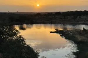 Finca Con Buen Acceso En Venta.