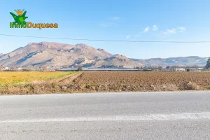 Venta de parcela de regadío en Fuente Vaquero