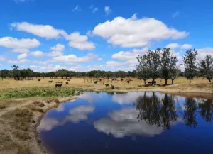 GRAN FINCA RÚSTICA CON POTENCIAL HÍDRICO