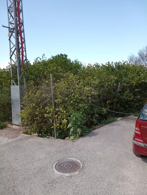 Terreno rústico en Los Lages - Los Garres