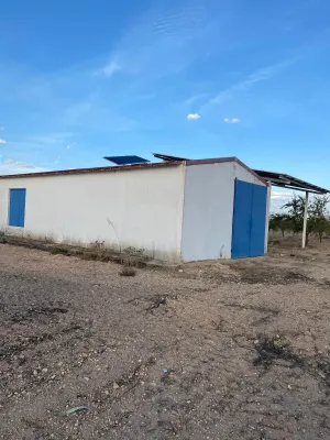 [gestifincarustica] - almendros regadio