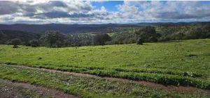 Hermosa Finca de Caza mayor y Recreo