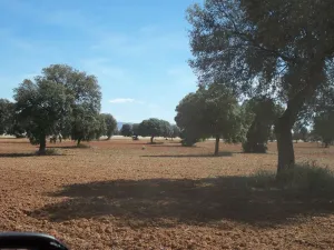 Hermosa finca de 400 hectáreas