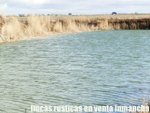 finca en venta 150 has. labor secano almendro