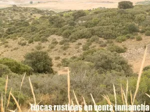 finca en venta 335 has. caza menor Cuenca
