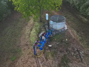 Olivar Superintensivo regadio 8,4 has