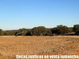 finca en venta 106 has. labor monte en Toledo