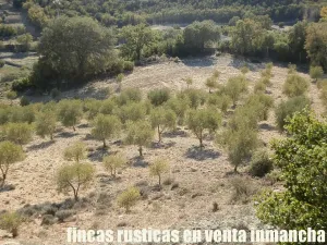 finca en venta 30 has. recreo en Madrid
