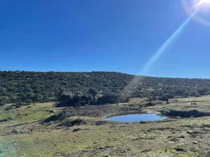 FINCA GANADERA Y CINEGÉTICA EN VENTA