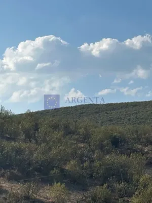 FINCA CINEGÉTICA VENTA ZONA DE LOS IBORES