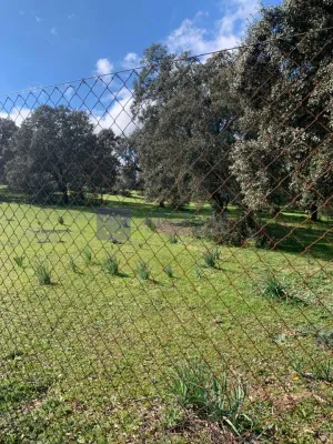 FINCA GANADERA Y CINEGÉTICA EN ZONA MÉRIDA