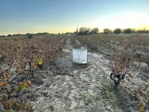 Finca con pozo Bollullos Par del Condado