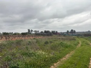 Finca en Las Palma del Condado - Huelva