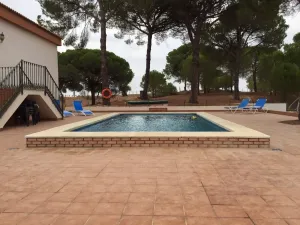 Finca Rustica en Villarrasa