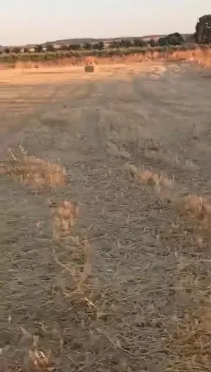 FINCA RUSTICA EN ALMAGRO, CIUDAD REAL, ESPAÑA