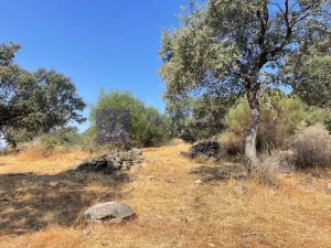 Finca 50 ha Alcuescar