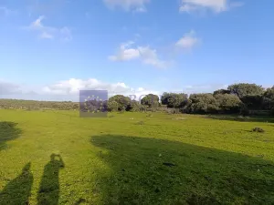 Finca Ganadera 190 ha en Cáceres