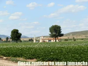 finca en venta 28 has. labor riego en Villena