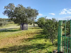 Finca Ganadera Membrío