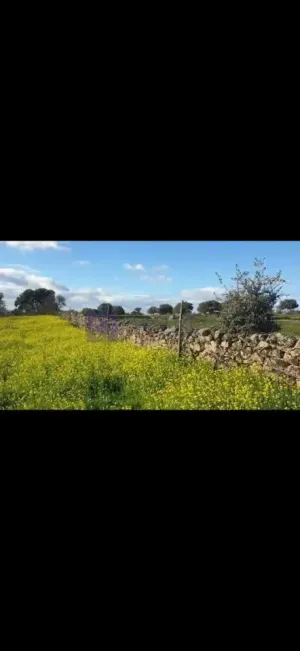 Finca Ganadera 10 ha en Valdesalor