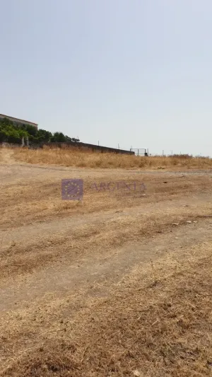 Finca Ganadera 600 ha Alcuéscar