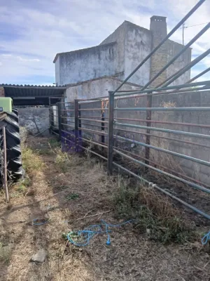Se Vende Finca Regadío en Coria