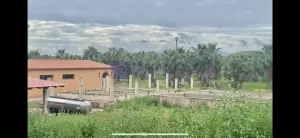 Se Vende Finca Ganadera/Industrial