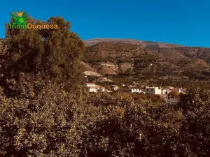 FINCA RÚSTICA PLENA PRODUCCIÓN EN VALLE DE LECRÍN