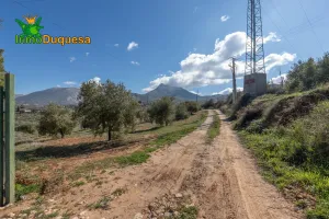 Finca rústica en Cogollos Vega (con toma de luz y agua en la entrada)