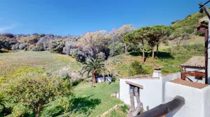 Villa de estilo rustico en Casares, parcela 30.000m