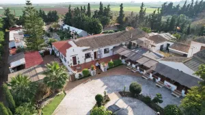 Finca en Los Alcázares