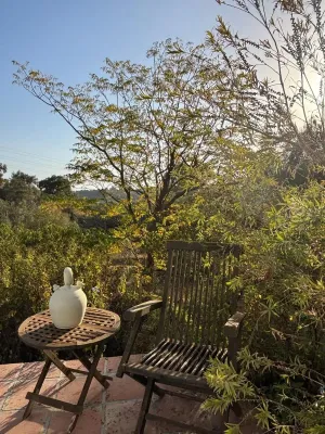 Finca Rustica en Estepona - Malaga