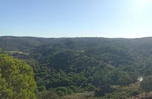 Finca Forestal en Venta Zalamea La Real