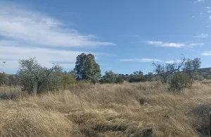 Venta finca rústica en Monterrubio La Serena
