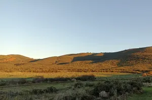 Venta finca rústica en Zufre