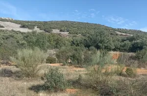 Finca rústica en Monterrubio La Serena