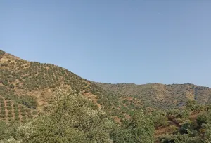 Finca Rústica en Málaga